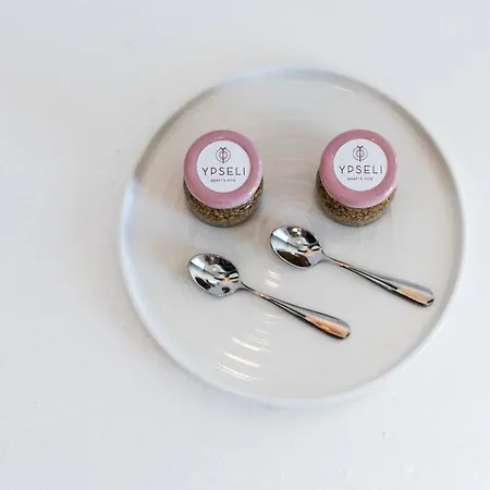 Ypseli Anafi's Hive Hotel 2*