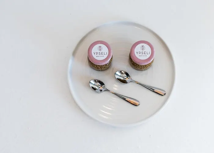 Ypseli Anafi's Hive 호텔 2*