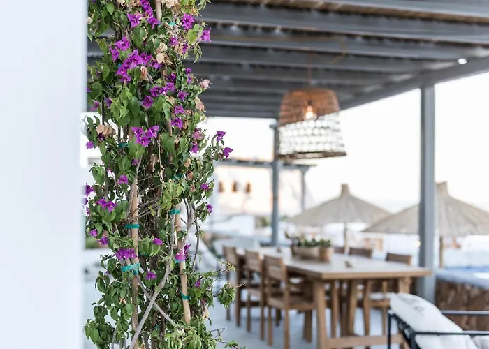 Ypseli Anafi's Hive 아나피