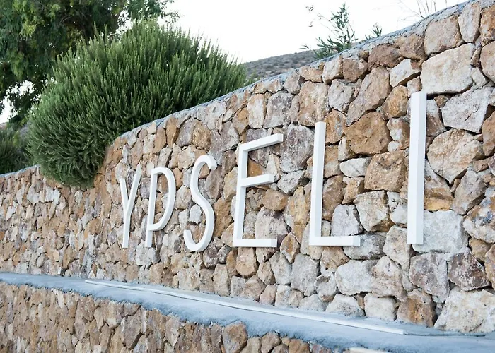 Ypseli Anafi's Hive 2* 아나피